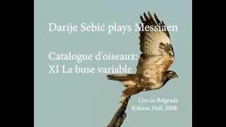 Darije Sebić plays Messiaen: La buse variable