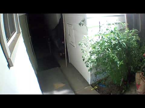 thief looking for something to steal from