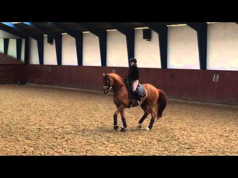 Training with the National Coach Wednesday