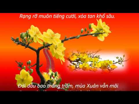 Mừng xuân Sheet - Quang Minh