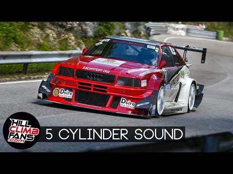 5 cylinder Audi S2 quattro - Karl Werner | Hill Climb Verzegnis 2019