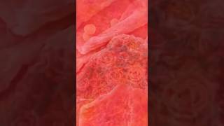 Download lagu Hand Zoom For 2000X In Microscope 😱🌹#zoom #viral #shorts mp3 Download lagu Hand Zoom For 2000X In Microscope 😱🌹#zoom #viral #shorts mp3