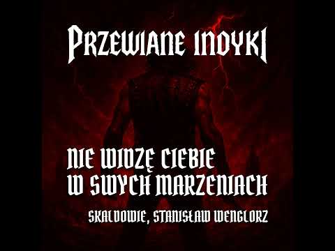 🔥 Skaldowie, Stanisław Wenglorz - Nie widzę Ciebie w swych marzeniach (heavy metal cover) 🔥🦃🤘 HIT