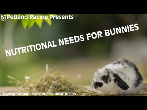 Rabbit Nutritional Needs