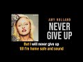 Never Give Up |  Amy Holland |  Karaoke
