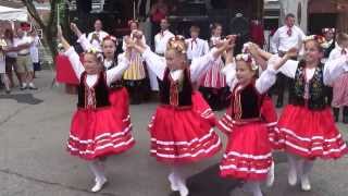 preview picture of video 'Pokolenie Dancers performed Hopak at Poughkeepsie Polish Festival 8/18/13'