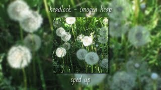 Cover art for headlock