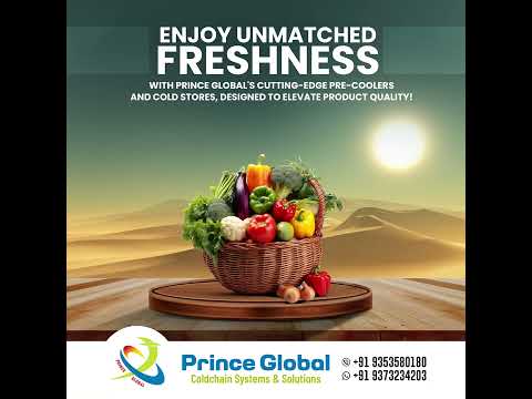 Solar Cold Storage