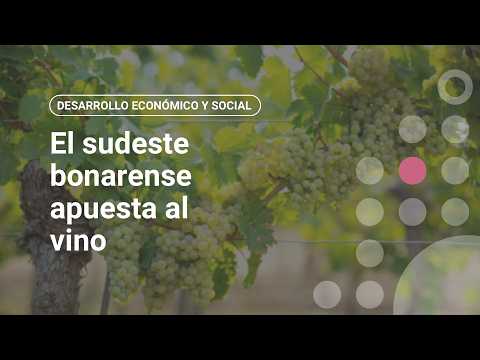 El sudeste bonaerense apuesta al vino