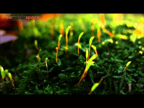 J-Soul feat. Avis Vox - Life's Understanding (2th Mix)