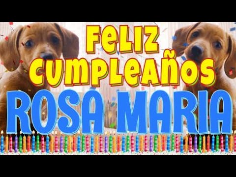 ¡Feliz Cumpleaños Rosa Maria! (Perros hablando gracioso) ¡Muchas Felicidades!