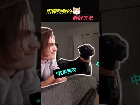 訓練狗狗的最好方法