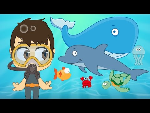  Aquatic Animals for Kids in Arabic - الحيوانات للأطفال - حيوانات البحر باللغة العربية للاطفال