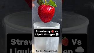 Strawberry 🍓 Vs Liquid Nitrogen 🌧️#Satisfying #Experiment #Science #ASMR #LiquidNitrogen