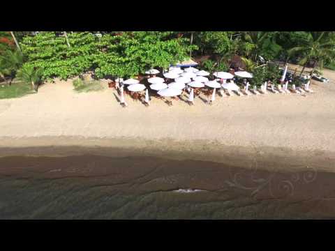 download lagu mp3 mp4 Ballena Beach Bar, download lagu Ballena Beach Bar gratis, unduh video klip Ballena Beach Bar