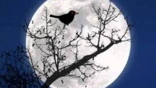 Me playing Black bird (The Beatles)