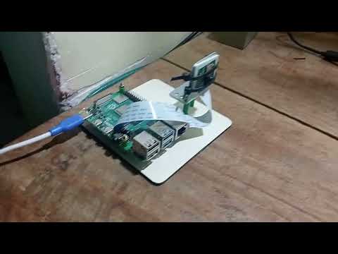 JN37.Raspberry Pi ML Disease Detection