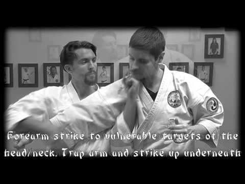 Waza Wednesday 9-2-15 - Passai Dai Oyo Bunkai