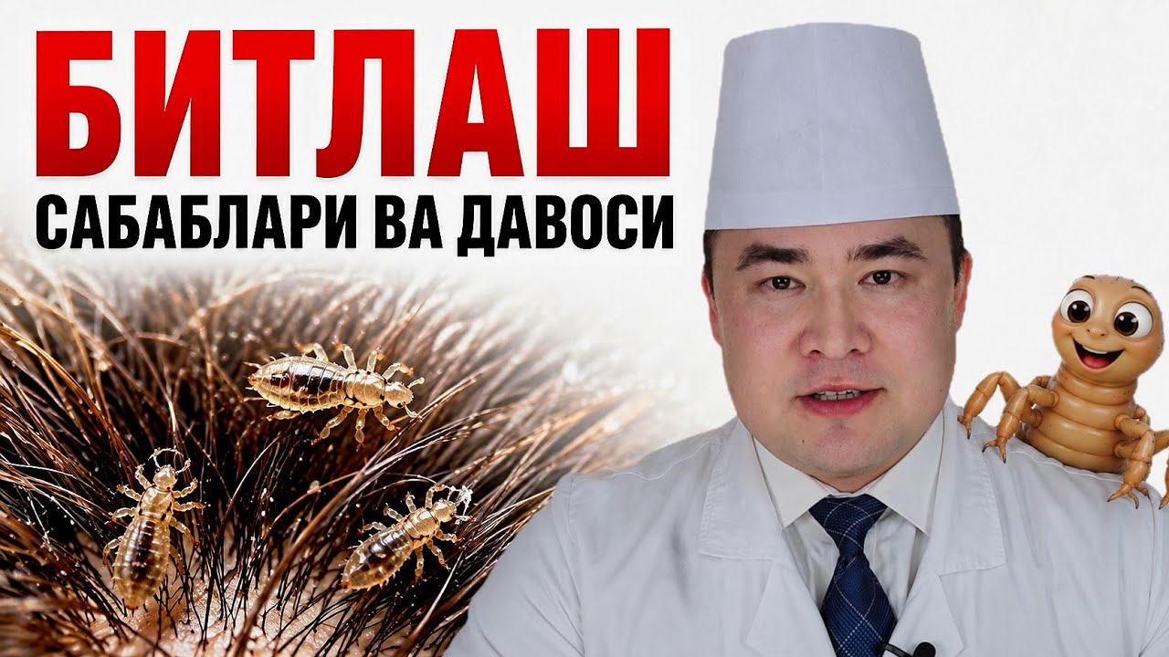 БИТЛАБ КЕТИШ САБАБИ ВА ДАВО ЧОРАЛАРИ ХАҚИДА БАФУРЖА МАЪЛУМОТ / ПЕДИКУЛЁЗ 