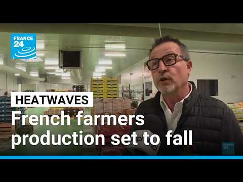 France agriculture production sees economic hit from heatwaves