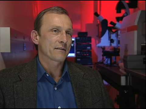 UAlbany Professor Igor Lednev Discusses Raman Spectroscopy.mov