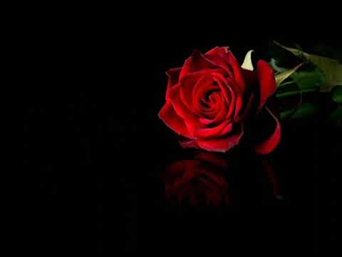 Celine Dion - My heart will go on (versuri română)