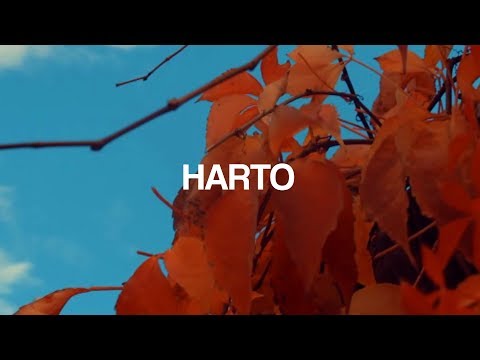 RUCH - HARTO (shot by @4vicemedia)