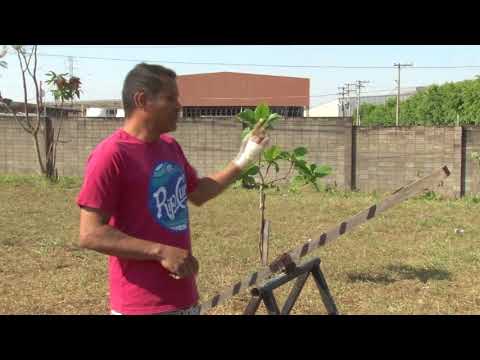 Descaso com área de lazer incomoda moradores