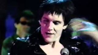 Cramps   Bikini Girls With Machine Guns &amp; Muleskinner Blues tv show live