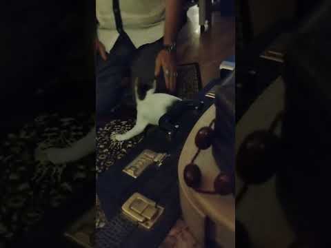 Sabah salatı replikleri