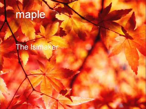 The Isimaker - maple