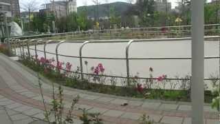 preview picture of video '楊梅市永平里公園直排輪溜冰場 YongPing Village Park Roller Skating Rink, YangMei City'