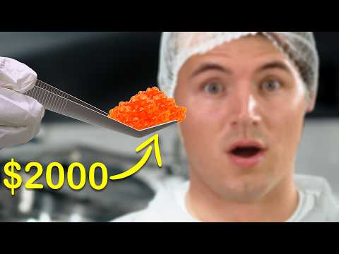 How The Most Expensive Caviar Is Made