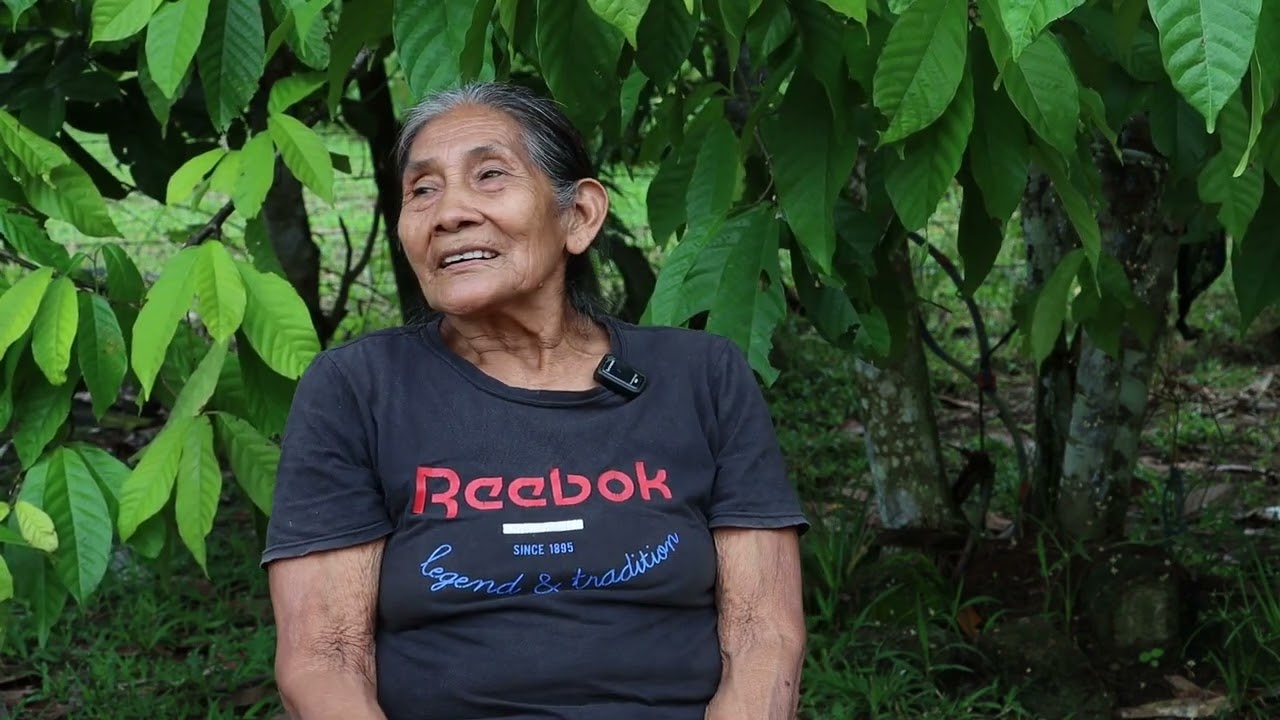 Criar con plantas: sabiduría indígena desde la huerta