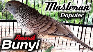 Download lagu Perkutut lokal SUPER PIKAT - sekali nembak yg malas jadi bunyi. mp3 Download lagu Perkutut lokal SUPER PIKAT - sekali nembak yg malas jadi bunyi. mp3
