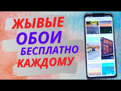 Где скачать ЖИВЫЕ ОБОИ на своей телефон Xiaomi БЕСПЛАТНО