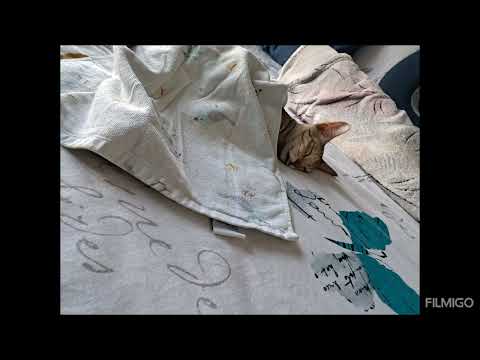 Nimmo's Sleep DND mode1