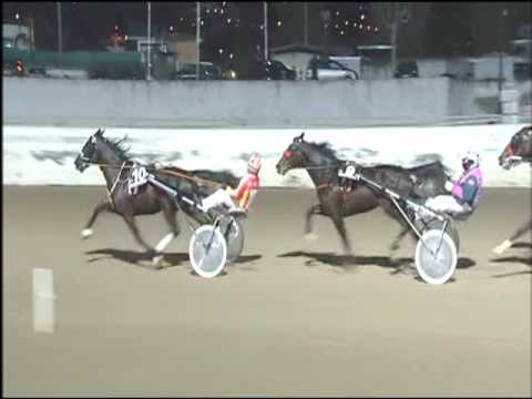 Trotto 27/01/2017 - 7ª corsa - TRIS