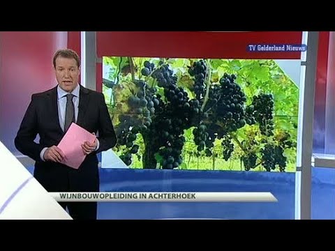 GLD Nieuws 14 februari 2012 - Nieuws
