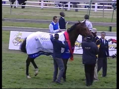 Potent Power - Gold Medallion (Grade 1)