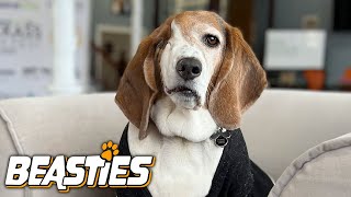 I Lost My Eye To Cancer | BEASTIES by Barcroft Animals