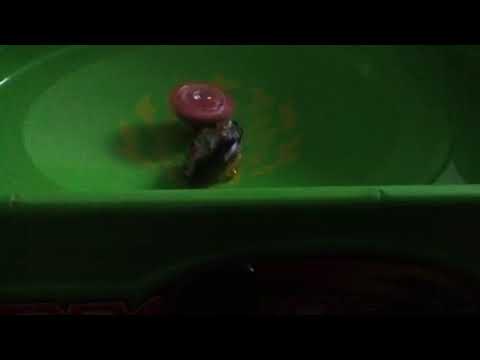 Spryzen fake vs Zeutron fake