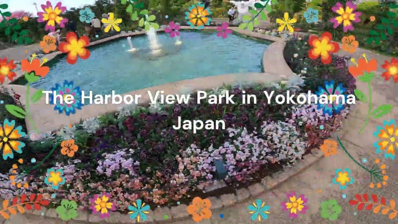 Discover the highlights of Harbour View Park.