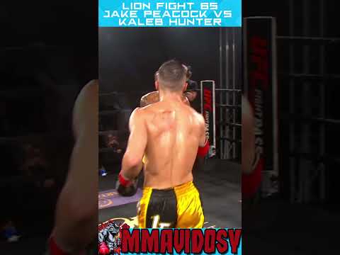 TKO ELBOW AND PUNCHES Lion Fight 65 - Jake Peacock vs Kaleb Hunter #shorts #muaythai #knocked