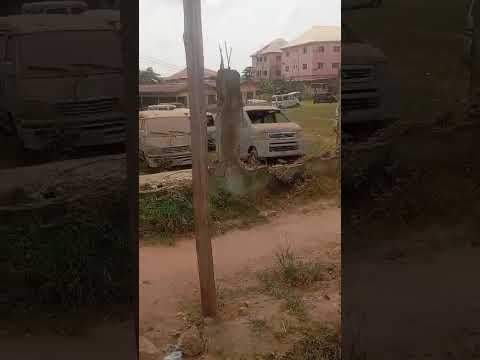 5 plots of Land facing the road @ Oke-Afa isolo lagos.