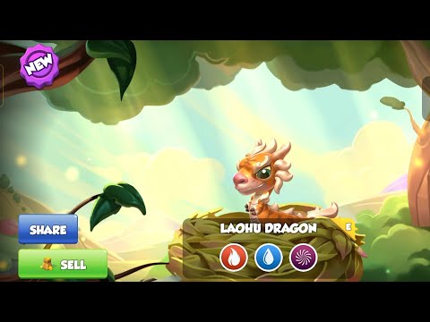HATCHING DUNGEON LAOHU DRAGON AND LASER HAMMER DRAGON | LEVEL 46 Dragon grid | DRAGON MANIA LEGENDS