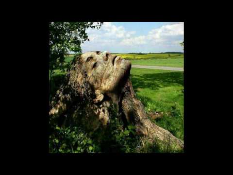 Arvydas Vilčinskas-"Atėjus laikui"