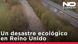 Cientos de toneladas de basura vertidas en el sur de Inglaterra provocan aviso de desastre ecológico