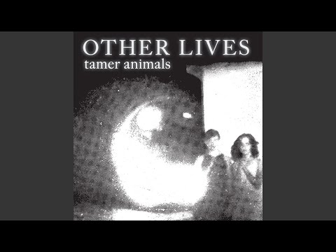 Desert - Other Lives