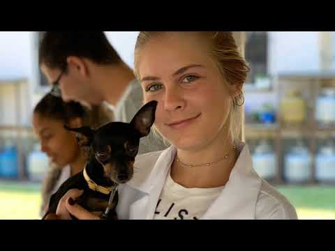 IETC Medicina Veterinária Unifeso 2019